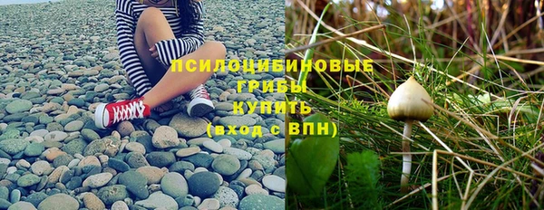 героин Алзамай