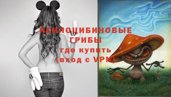 героин Алзамай
