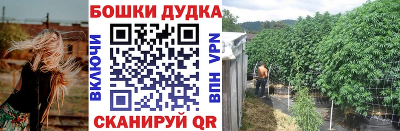 Шишки марихуана ГИДРОПОН  как найти наркотики  Омутнинск 