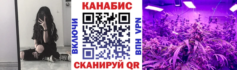 Канабис сатива Омутнинск
